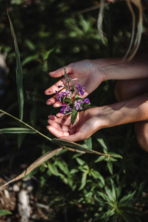 The Power of Herbalism: Nature Supporting Your Performance