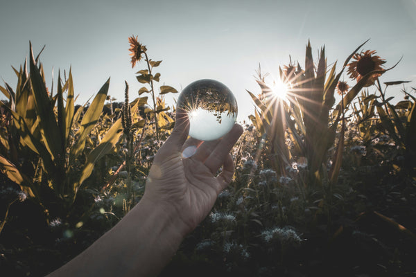 Rituals : Why Consistency Is Key to Progress